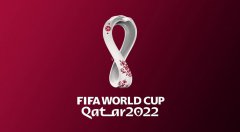 2022年卡塔尔世界杯：哪些球队最有希望晋级16强