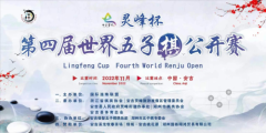 高手云集，“灵峰杯”第四届世界五子棋公开赛