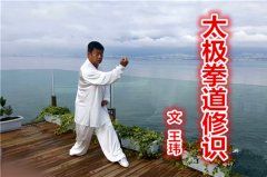 太极拳道修识