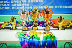 第二届中国青少年足球联赛暨云南省青少年足球